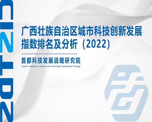 美女艸b【成果发布】广西壮族自治区城市科技创新发展指数排名及分析（2022）